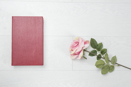 國際關系在職研究生招生信息 國際關系在職研究生招生信息