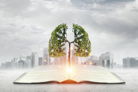 中國科學(xué)院大學(xué)工程管理碩士招生時間 中國科學(xué)院大學(xué)工程管理碩士招生時間