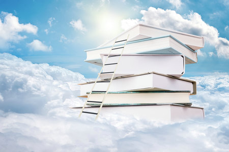 首都經濟貿易大學專業碩士招生流程