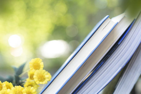 環境與資源保護法學在職博士招生條件 環境與資源保護法學在職博士招生條件