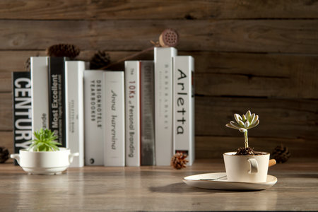 上海財(cái)經(jīng)大學(xué)非全日制研究生招生方向 上海財(cái)經(jīng)大學(xué)非全日制研究生招生方向