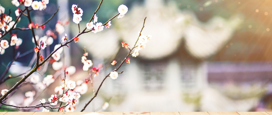 四川在職研究生 四川在職研究生