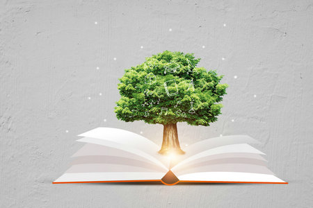 廣東地區(qū)專業(yè)碩士 廣東地區(qū)專業(yè)碩士