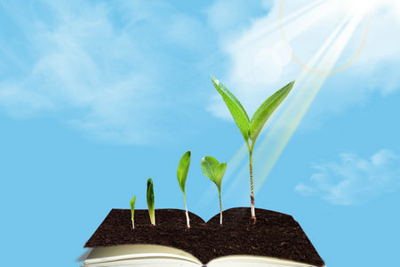 北京大學MF 北京大學MF