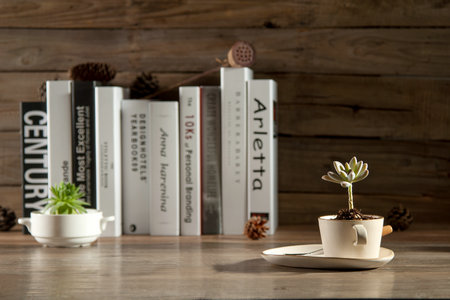 江西財經大學同等學力申碩招生流程 江西財經大學同等學力申碩招生流程