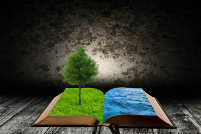 廈門大學專業碩士 廈門大學專業碩士