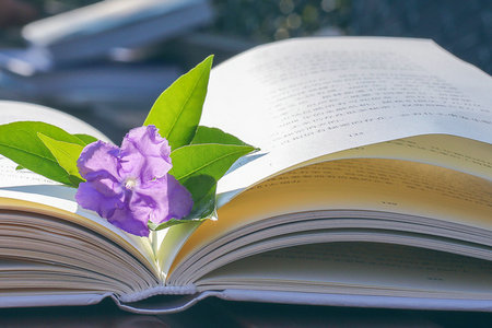 華東交通大學(xué)在職研究生浙江地區(qū)招生情況 華東交通大學(xué)在職研究生浙江地區(qū)招生情況