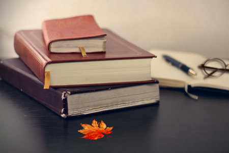 中南財經政法大學同等學力