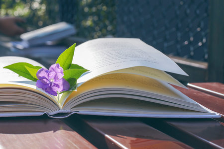 北京師范大學MBA