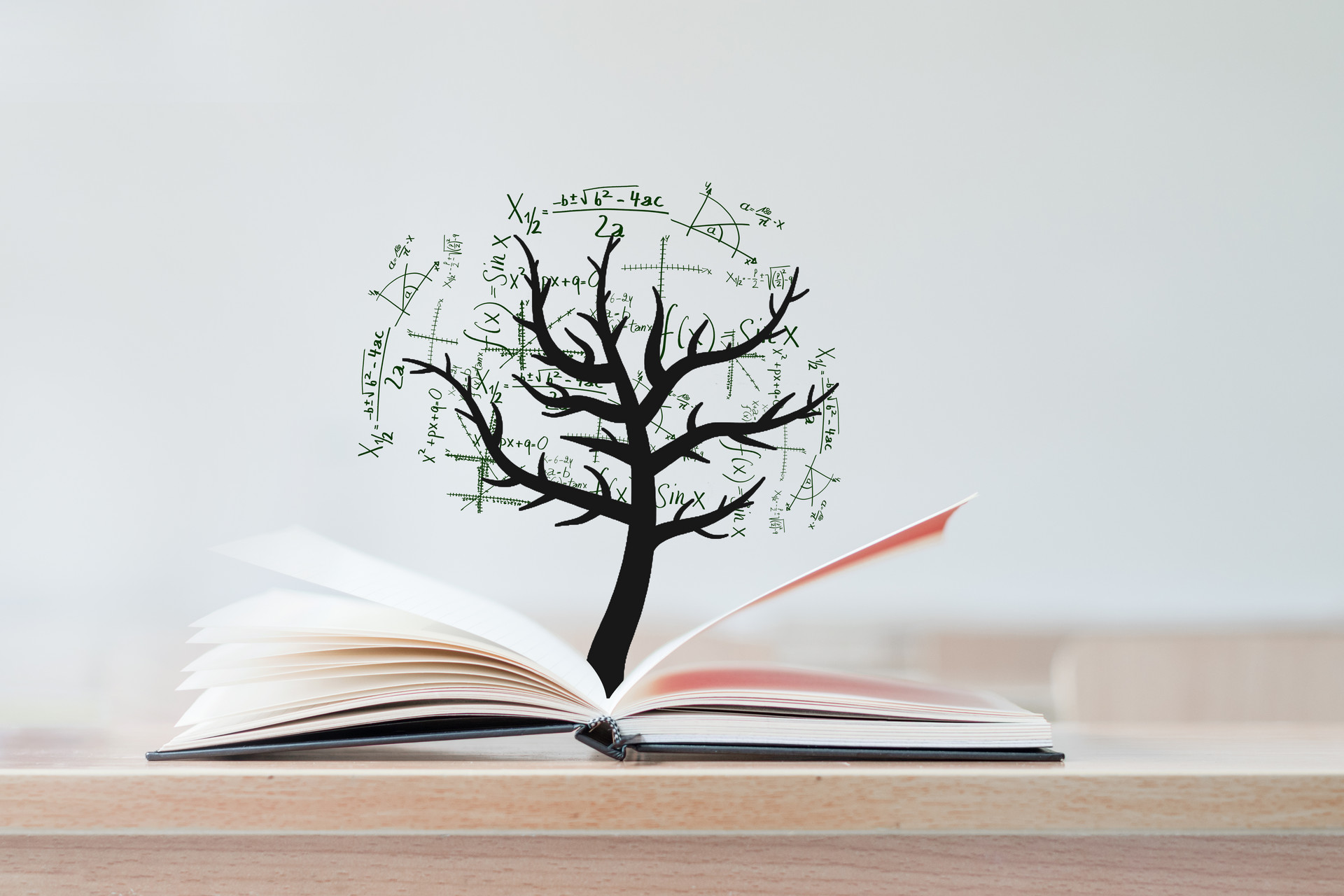 廈門(mén)大學(xué)在職研究生 廈門(mén)大學(xué)在職研究生