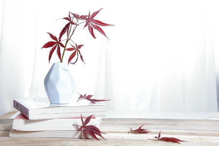 中國人民大學MPA 中國人民大學MPA