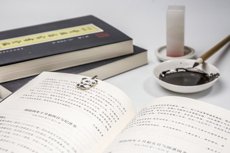 中國政法大學(xué)專業(yè)碩士招生計(jì)劃及要求 中國政法大學(xué)專業(yè)碩士招生計(jì)劃及要求