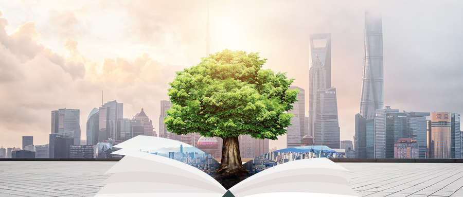 電子科技大學(xué)MPA招生條件