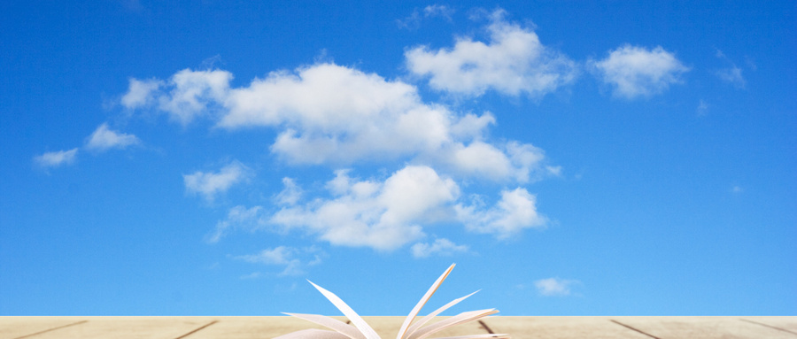 中國農(nóng)業(yè)大學MBA招生方向 中國農(nóng)業(yè)大學MBA招生方向