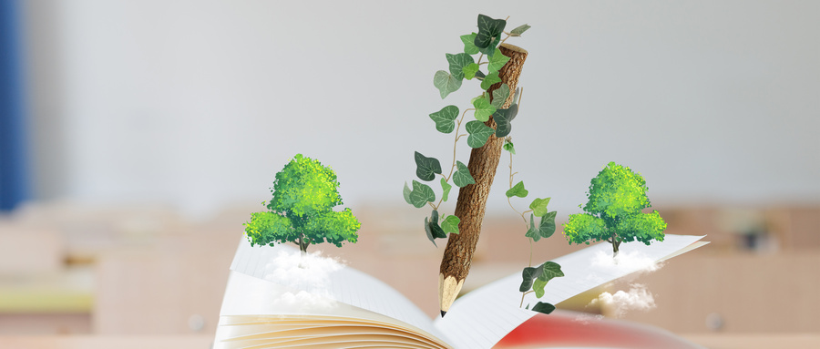 海南大學MPAcc招生流程 海南大學MPAcc招生流程