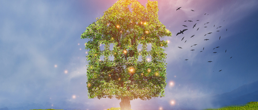 中南大學同等學力 中南大學同等學力