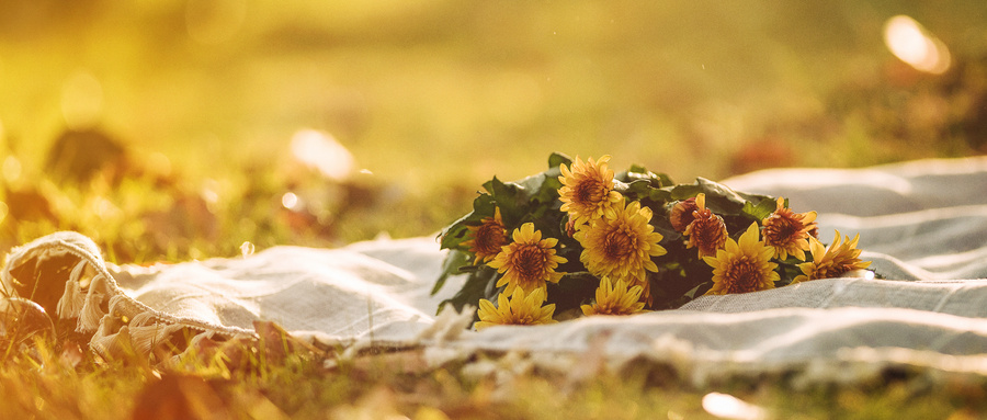 黑龍江八一農(nóng)墾大學(xué)MPAcc招生動態(tài) 黑龍江八一農(nóng)墾大學(xué)MPAcc招生動態(tài)