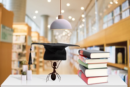 海南大學同等學力招生基本條件 海南大學同等學力招生基本條件