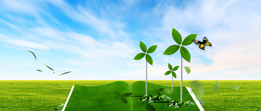 小學教育在職研究生招生類型 小學教育在職研究生招生類型