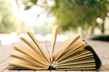 安徽農業大學在職研究生招生條件 安徽農業大學在職研究生招生條件