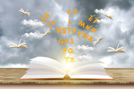 法國諾曼底管理學院國際碩士招生信息