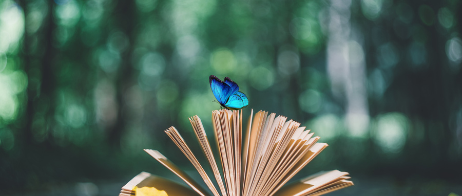 青海民族大學在職研究生招生情況 青海民族大學在職研究生招生情況