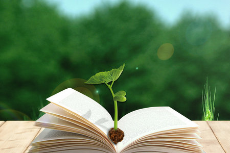 長江商學院在職研究生招生信息 長江商學院在職研究生招生信息