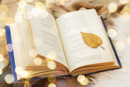 華南農業大學同等學力招生時間 華南農業大學同等學力招生時間