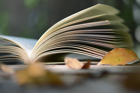 安徽師范大學同等學力招生人群 安徽師范大學同等學力招生人群