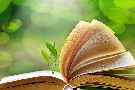 中國社會(huì)科學(xué)院研究生院在職研究生招生類型 中國社會(huì)科學(xué)院研究生院在職研究生招生類型