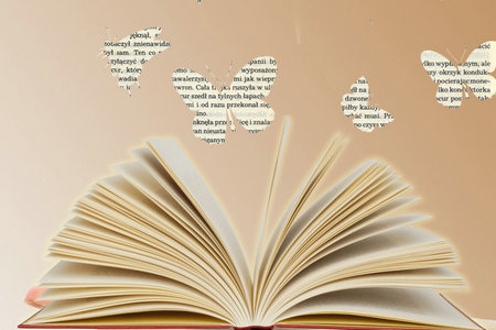 上海財經大學在職研究生經濟學招生流程 上海財經大學在職研究生經濟學招生流程