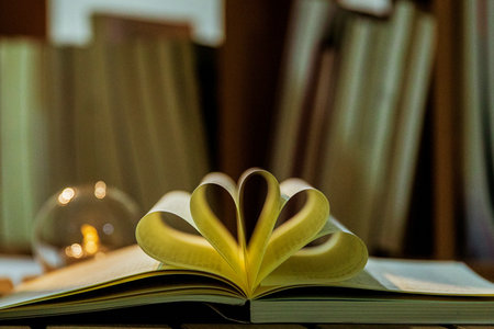 山東理工大學農(nóng)業(yè)管理碩士非全日制研究生招生情況