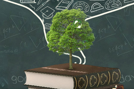 中山大學(xué)同等學(xué)力招生對(duì)象 中山大學(xué)同等學(xué)力招生對(duì)象