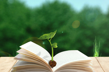 南昌大學中國古典文獻學同等學力招生信息 南昌大學中國古典文獻學同等學力招生信息