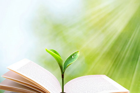 昆明理工大學MBA招生方式 昆明理工大學MBA招生方式