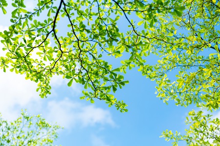 類型詳解!河南財經政法大學在職研究生招生類型 類型詳解!河南財經政法大學在職研究生招生類型