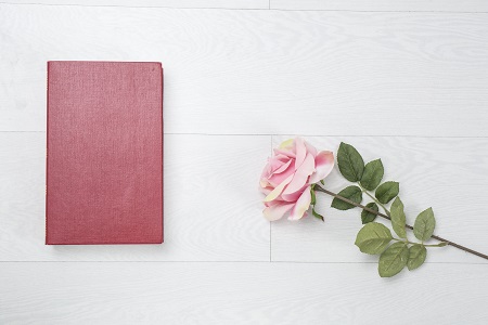 提前了解!西北政法大學在職研究生招生信息 提前了解!西北政法大學在職研究生招生信息