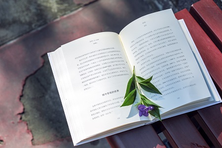 中國傳媒大學MPA招生信息 中國傳媒大學MPA招生信息