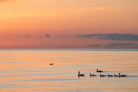 中國政法大學(xué)MBA招生類型有哪些? 中國政法大學(xué)MBA招生類型有哪些?