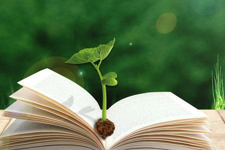 南昌大學在職研究生招生專業 南昌大學在職研究生招生專業