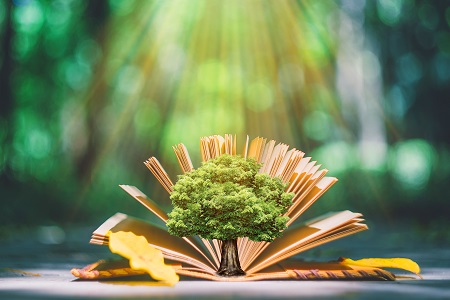 須知!經濟學在職研究生招生條件+招生院校+學制學費 須知!經濟學在職研究生招生條件+招生院校+學制學費