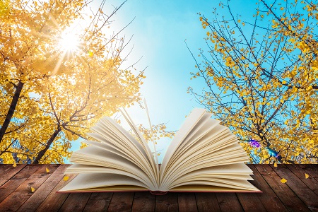 山東大學MPAcc招生條件介紹 山東大學MPAcc招生條件介紹