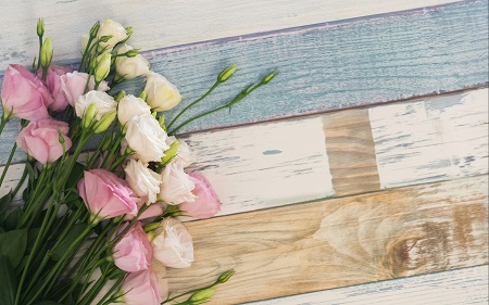 2022年河南財經政法大學MBA招生詳情 2022年河南財經政法大學MBA招生詳情