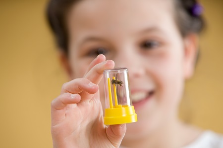 中央民族大學在職研究生招生條件！