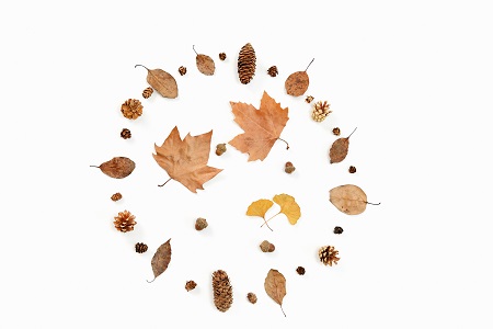 南昌大學(xué)專業(yè)碩士招生進(jìn)行中! 南昌大學(xué)專業(yè)碩士招生進(jìn)行中!