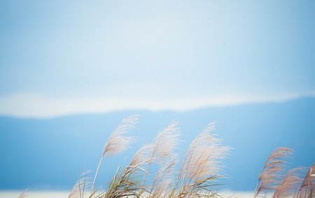 西北大學專業碩士熱門招生專業推薦！