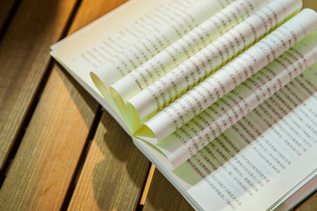 中國社會科學(xué)院研究生院金融管理在職研究生招生方式 中國社會科學(xué)院研究生院金融管理在職研究生招生方式