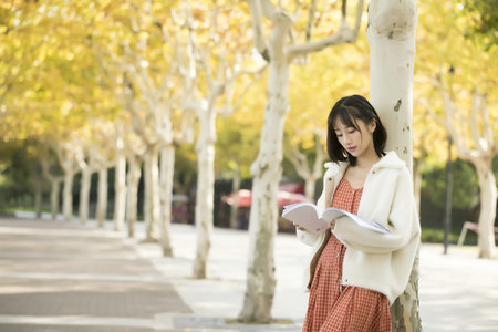 美國加利福尼亞州立大學(xué)國際博士招生信息 美國加利福尼亞州立大學(xué)國際博士招生信息