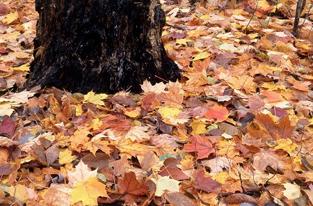 武漢工程大學非全日制研究生MBA專業正在招生中！