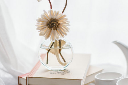 民族傳統體育學在職研究生招生人群 民族傳統體育學在職研究生招生人群